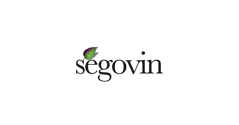 Segovin_Logo_ok